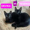 YESENIA ET DEVIKA