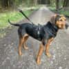 Brisa - Notfall -