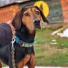 Brisa - Notfall -