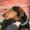 Brisa - Notfall -