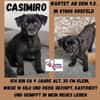Casimiro sucht sein Zuhause