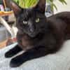 💛Lilly💛 sucht ihr Zuhause