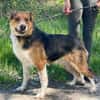 LEO sucht Familienanschluss