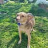 Roya sucht ihre liebe Familie....