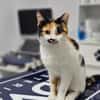 Alma & Sassy Traumpärchen sucht Paradies