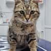 Alma & Sassy Traumpärchen sucht Paradies
