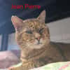 Jean pierre
