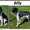 BILLY