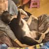 Ikem ein Special Hund sucht ein Zuhause