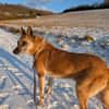 🆘RUBY in 91616 Neusitz sucht♥  ‼🆘‼