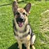 Ares  auf Teamsuche