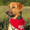 HSH-Mix-Lady♥Suvi♥63911 Klingenberg/Main