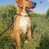 HSH-Mix-Lady♥Suvi♥63911 Klingenberg/Main