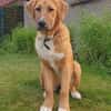 HSH-Mix-Lady♥Suvi♥63911 Klingenberg/Main