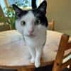 lieb und süß : Freddy im Rheingau
