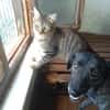 TOPRAK & CAKIR - suchen dringend......