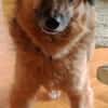 Sally  leiser Anfang von etwas Schönem