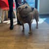 FIONA