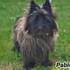 PABLO (Réservé)