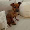 Roxy la mamie coquine