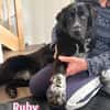 Ruby - freundlich und menschenbezogen