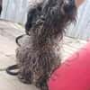 Lotti sucht nach Liebe