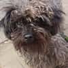 Lotti sucht nach Liebe