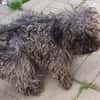Lotti sucht nach Liebe