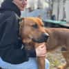 Big Buddy-Liebervoller Bollerkopf sucht