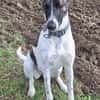 Franka sucht ihre Familie