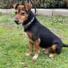 Bau sucht Happy-Home