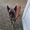 JUNIOR