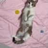 Louna