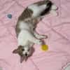 Louna