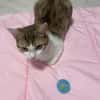 Louna