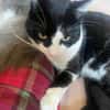 Tomy