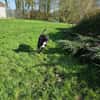 Leia - URGENCE ADOPTION