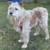 TEO SUCHT EIN RUHIGES ZUHAUSE