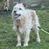 TEO SUCHT EIN RUHIGES ZUHAUSE