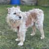 TEO SUCHT EIN RUHIGES ZUHAUSE