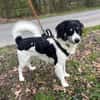 Hermes - Wirbelwind sucht Landeplatz