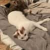 Zuhause gesucht für Lisi & Lucky