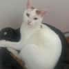 Zuhause gesucht für Lisi & Lucky