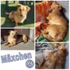 MÄXCHEN * sieht mit dem Herzen