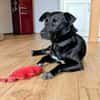 ZOLA -liebt alle Menschen-