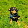 Ricka sucht ein Zuhause