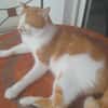 MOUMOUSSE