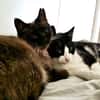 OSCAR et BETTY