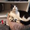 Zoe sucht ihren Kuschelplatz