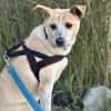Arby 3/23 m auf der Suche